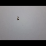 Hand Held Metal Detector - Ultra UT - Gold - Image 2