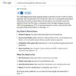 Under Ground / Deep Search Metal Detector for Rental Basis - Image 2