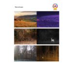 Long Range Marine Grade Thermal PTZ Camera - Day 6 KM & Night 3 KM - IV-TH-MA-PTZMLZ-50X-T25-IP3-V2 - Image 5